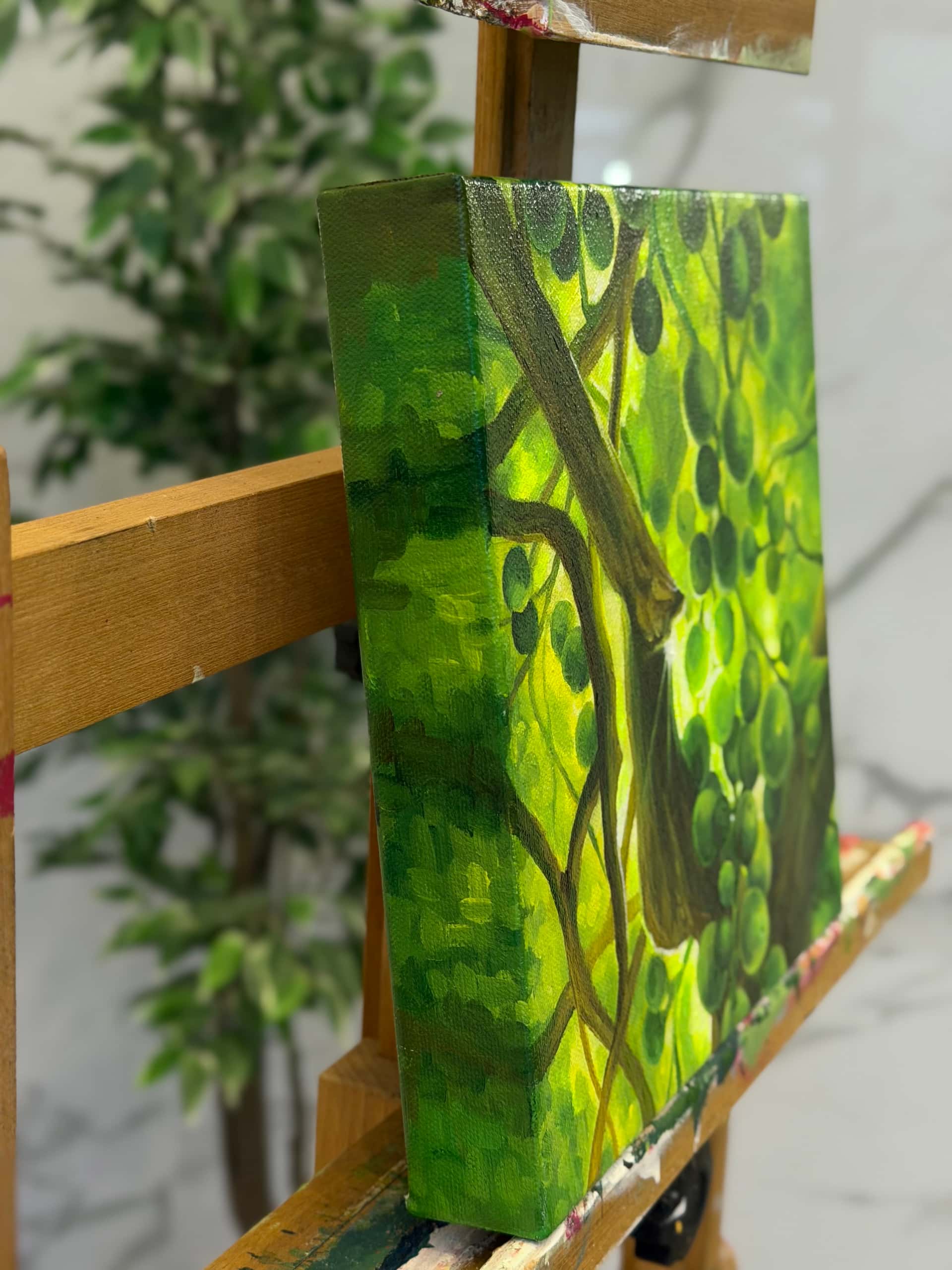 IMG 4241