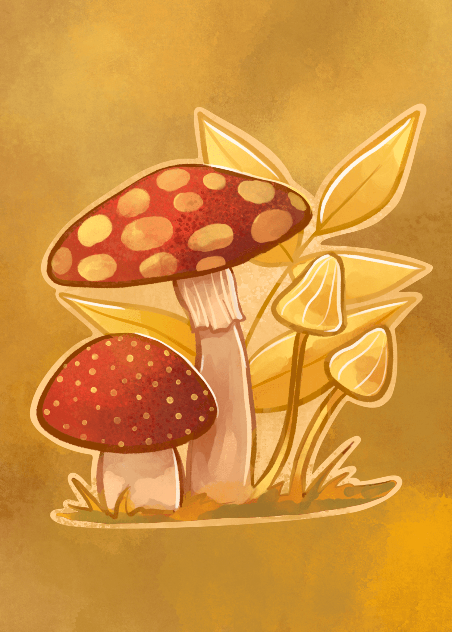 Mushroom Family