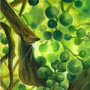 Avo's Grapes